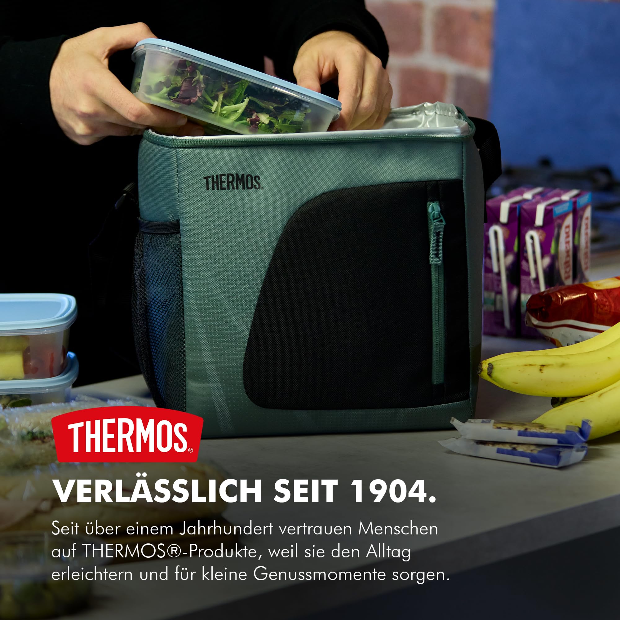 thermos-icon-cooler-k-hltasche-30-l-faltbar image 2